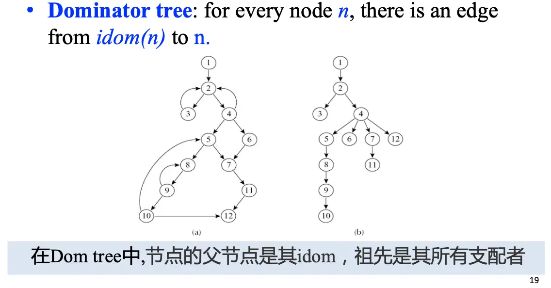 Dominator Tree